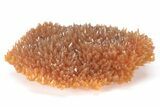 Intense Orange Calcite Crystal Cluster - Poland #214151-1